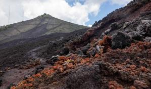 Festival de arte contempor&aacute;neo Convening #1 llega a Santo Domingo