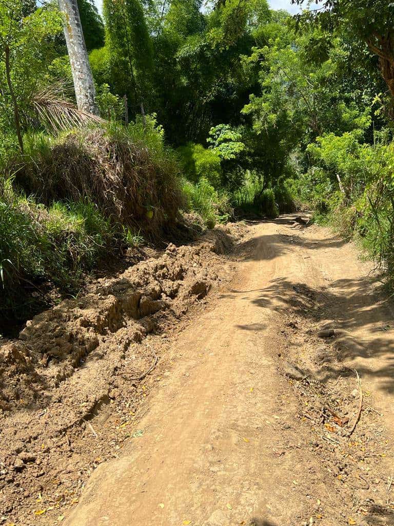 Estado en el que se encuentra la carretera.