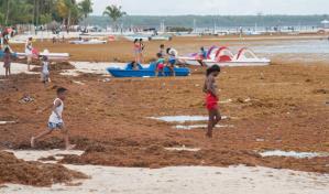 Unión Europea une fuerzas con RD y otros países del Caribe para hacer frente al sargazo
