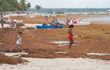Unión Europea une fuerzas con RD y otros países del Caribe para hacer frente al sargazo