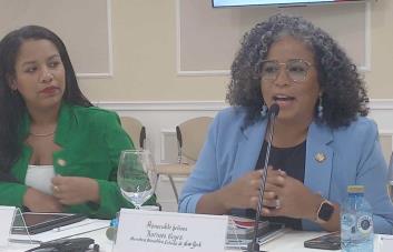 Congresistas dominicanas en EE.UU. recomiendan introducir tres causales en el Código Penal