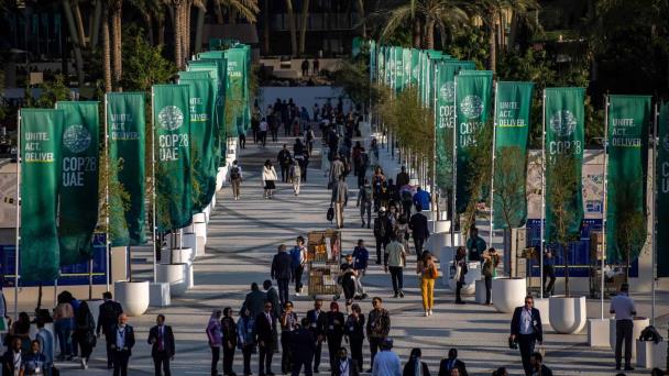 La naturaleza como solución al calentamiento global pasará el sábado al centro de la COP28