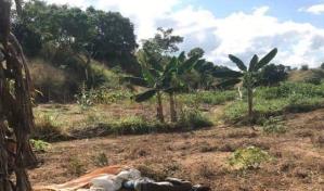 Encuentran haitiano muerto con signos de violencia a orillas del río Masacre 