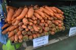 Los precios mundiales de los alimentos se mantienen estables en noviembre, según la FAO Los precios mundiales de los alimentos se mantienen estables en noviembre, según la FAO