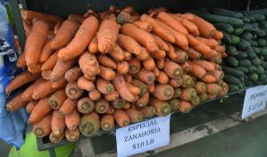 Los precios mundiales de los alimentos se mantienen estables en noviembre, según la FAO