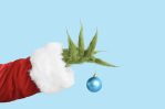 Cómo enfrentar tu lado grinch con un enfoque mindful Cómo enfrentar tu lado grinch con un enfoque mindful