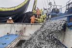 El Niño hunde en la crisis a la industria pesquera peruana