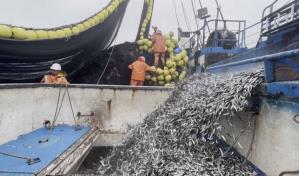 El Niño hunde en la crisis a la industria pesquera peruana