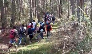 Vídeo capta a un grupo masivo de haitianos entrar ilegalmente a RD a través de la Sierra de Bahoruco
