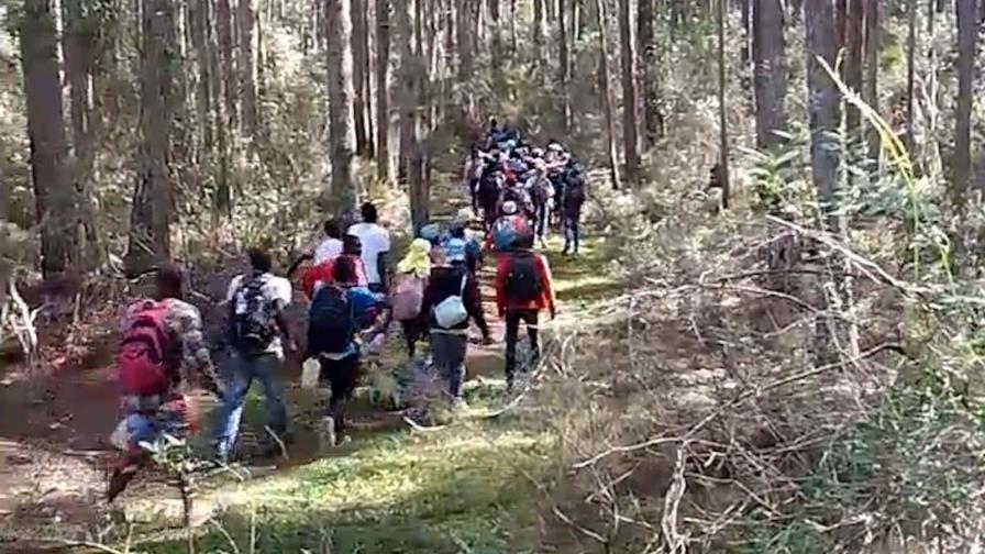 Vídeo capta a un grupo masivo de haitianos entrar ilegalmente a RD a través de la Sierra de Bahoruco