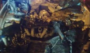 Vacas provocan accidente y acaban hechas filete en Maimón