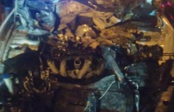Vacas provocan accidente y acaban hechas filete en Maimón