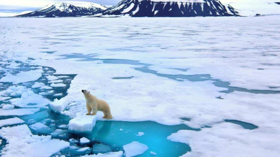 El Ártico tuvo en 2023 el verano más cálido registrado hasta ahora, señala estudio