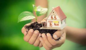 Sustentabilidad en casa: c&oacute;mo hacerlo