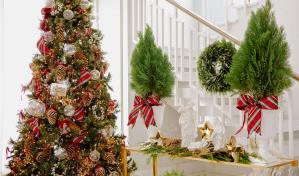 Navidad transicional: una apuesta que nunca falla