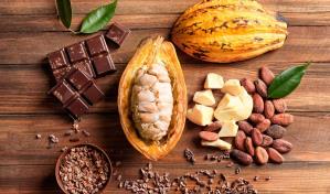 El sector cacaotero implementará estrategias y alianzas para fortalecerse en Centroamérica