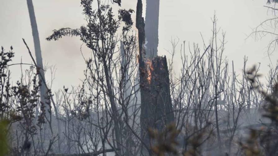 Reportan cambios en el comportamiento de los incendios forestales registrados en RD