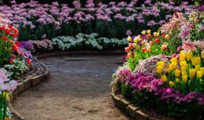 Plantas ornamentales para cada estaci&oacute;n del a&ntilde;o