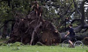 Tormenta con vientos huracanados deja 16 muertos y destrucción en Argentina y Uruguay