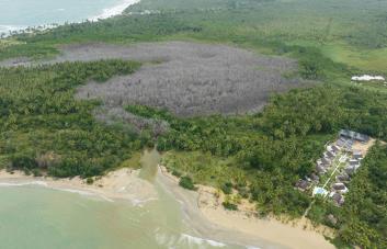 Senador de Samaná solicita investigación a Medio Ambiente sobre crimen ecológico en El Limón