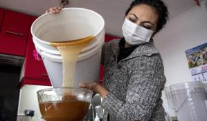 El “fenómeno del trabajador pobre” crece en Latinoamérica, según OIT