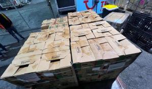 Ocupan 56 paquetes de cocaína en cargamento de cocos que sería enviado a España