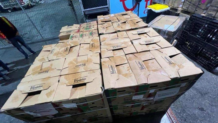 Ocupan 56 paquetes de cocaína en cargamento de cocos que sería enviado a España