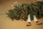 La fractura del pene y otras lesiones comunes durante la Navidad