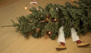 La fractura del pene y otras lesiones comunes durante la Navidad