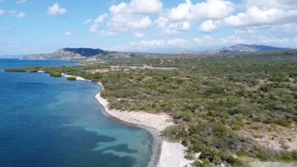 Empresarios que buscan recuperar terreno en Baní piden revocar sentencia que los excluye