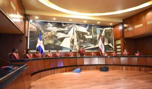 12 años y 12 sentencias que han marcado la constitucionalidad dominicana
