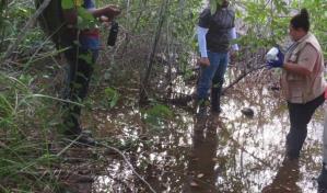 Autoridades esperan resultados de estudios para establecer causas del daño a manglares en Samaná