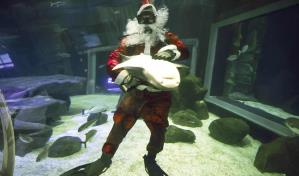 Papá Noel se da un chapuzón entre tiburones en Río de Janeiro