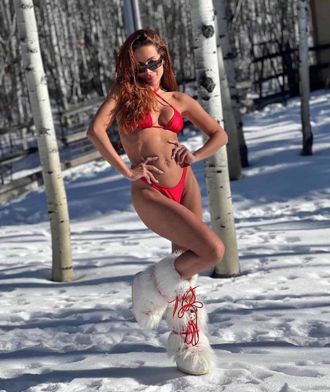 Anitta presume bikinazo en la nieve previo a Navidad - Diario Libre