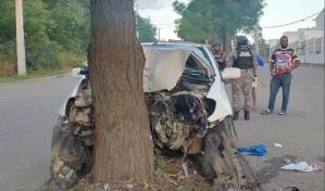 Enfermera y su hijo pierden la vida al impactar su vehículo contra un árbol en Santiago