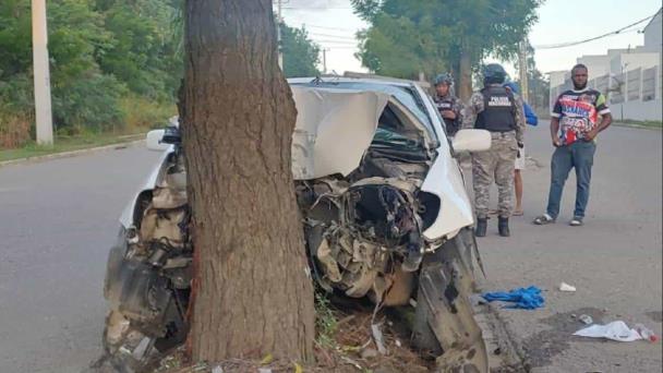 Enfermera y su hijo pierden la vida al impactar su vehículo contra un árbol en Santiago