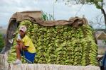 República Dominicana tiene grandes retos en materia laboral, dice informe de la OIT