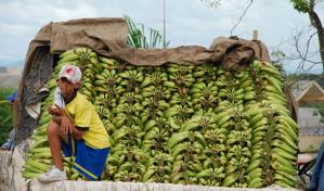 Activista rebate los datos mundiales de trabajo infantil y censura a las multinacionales