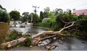 Un muerto y cortes eléctricos por las tormentas que golpean el este de Australia
