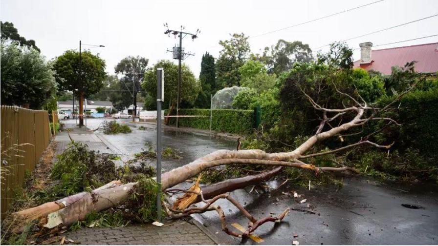 Un muerto y cortes eléctricos por las tormentas que golpean el este de Australia