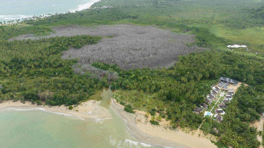 Red Socioambiental Nacional condena daño a manglares en Samaná