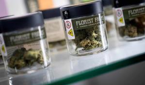 Nueva York dará casi 1,500 licencias para negocios de marihuana en las próximas semanas