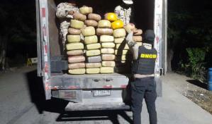 Cesfront y DNCD incautan en carga de naranjas 368 libras de marihuana en Elías Piña