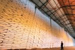 Central Romana sigue sin cuota de exportación de azúcar a EEUU en la nueva zafra