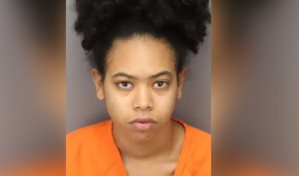 Mujer detenida por golpear varias veces a su novio con un árbol de Navidad durante una discusión