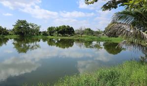 Inundaciones en La Colonial de San Luis: un problema de larga data