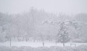 Seúl registra su peor nevada en un solo día de diciembre de los últimos 40 años