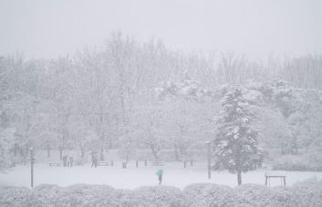 Seúl registra su peor nevada en un solo día de diciembre de los últimos 40 años