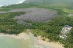 No detectan presencia de herbicidas en análisis a manglares degradados en Samaná
