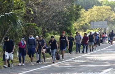 Caravana de migrantes para y se entrega a las autoridades Diario